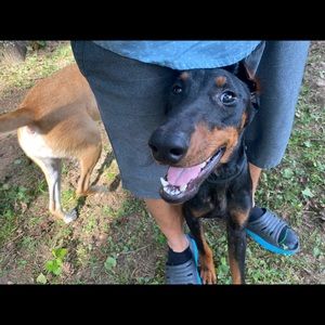 Meet your Posher, Robert